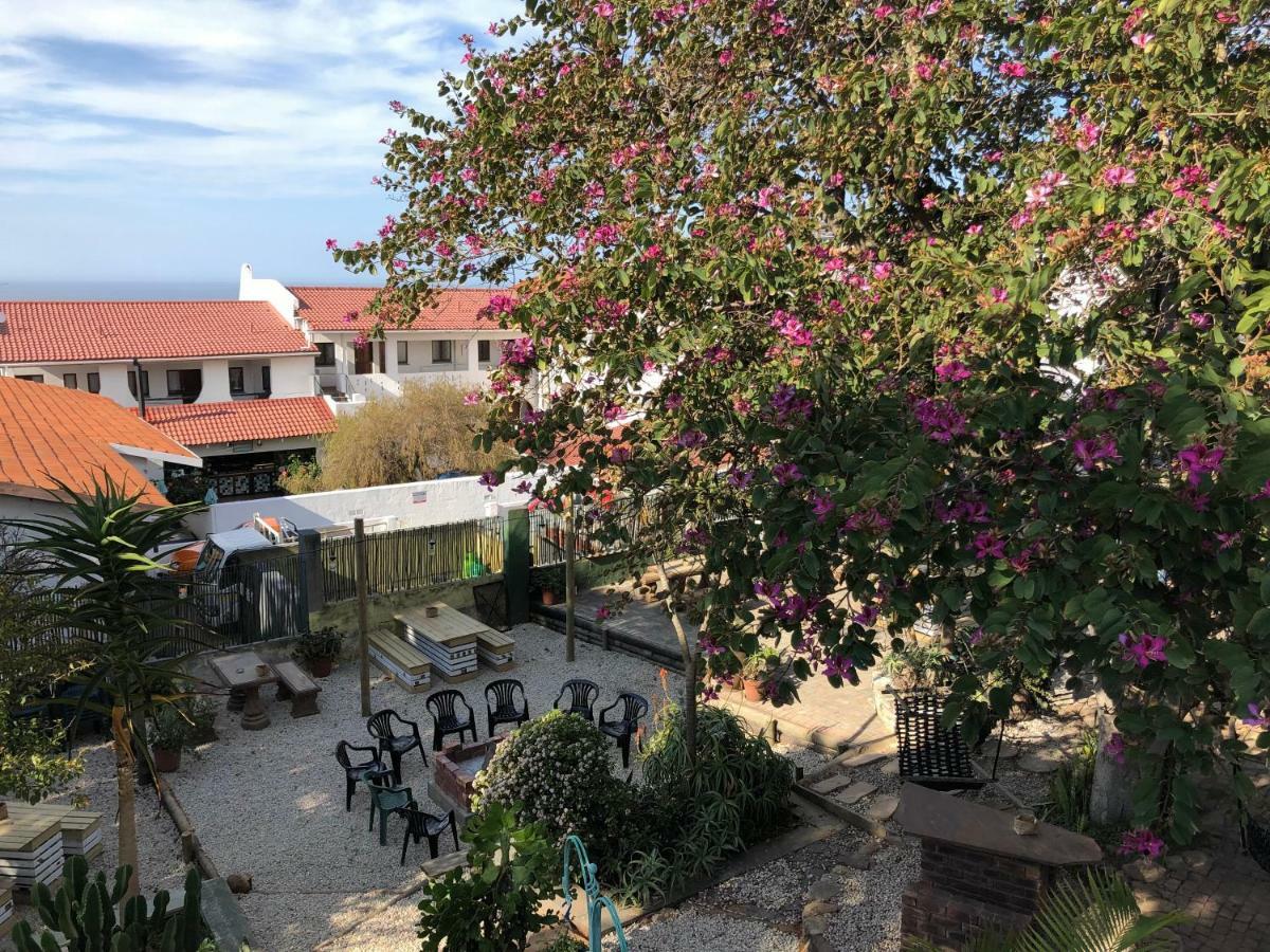 Albergo For Backpackers Plettenberg Bay Εξωτερικό φωτογραφία